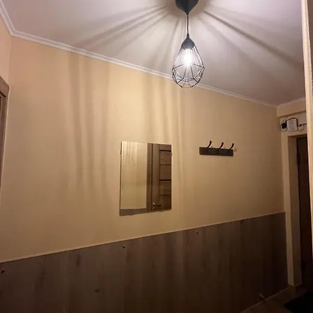 Cat Garden Modern Riga