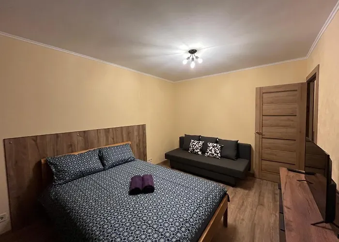 Cat Garden Modern Riga