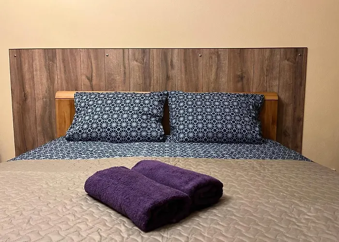 Cat Garden Modern Apartment Riga