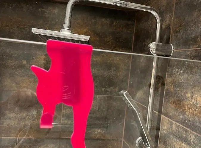 Apartment Cat Garden Modern Riga