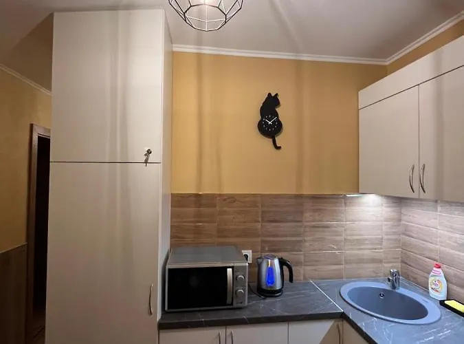 Apartment Cat Garden Modern