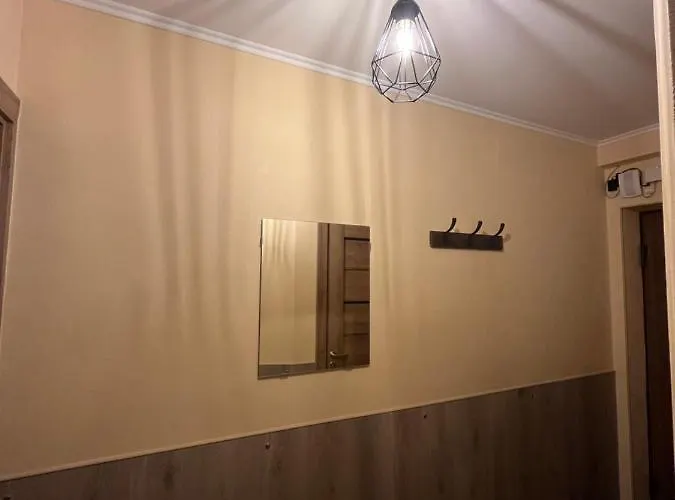 Cat Garden Modern Riga