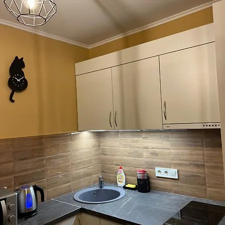 Cat Garden Modern *